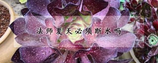 法师夏天必须断水吗,第1图