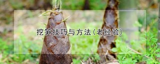 挖笋技巧与方法(老经验),第1图