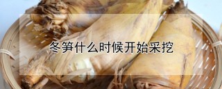 冬笋什么时候开始采挖,第1图