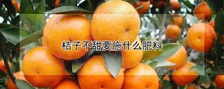 桔子不甜要施什么肥料,第1图