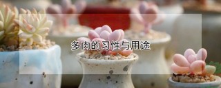 多肉的习性与用途,第1图