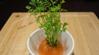 胡萝卜盆栽怎么养,第1图