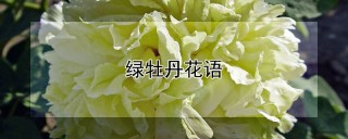 绿牡丹花语,第1图