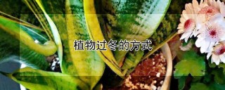 植物过冬的方式,第1图