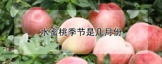 水蜜桃季节是几月份,第1图