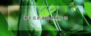 佛手瓜的家庭养殖方法,第1图