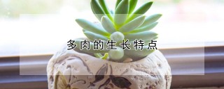 多肉的生长特点,第1图