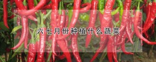 六七月份种植什么蔬菜,第1图