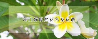 冷门好听的花名及花语,第1图