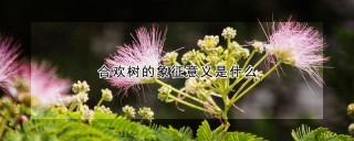 合欢树的象征意义是什么,第1图