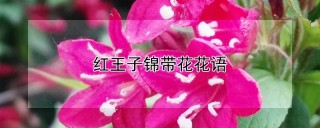 红王子锦带花花语,第1图