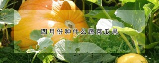 四月份种什么蔬菜瓜果,第1图