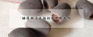 睡莲种子直接扔水里能长吗,第1图