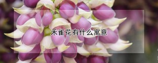 禾雀花有什么寓意,第1图