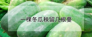 一棵冬瓜秧留几根蔓,第1图