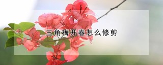 三角梅开春怎么修剪,第1图