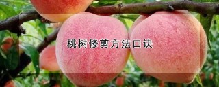 桃树修剪方法口诀,第1图