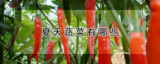 夏天蔬菜有哪些,第1图