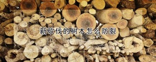 新砍伐的树木怎么防裂,第1图