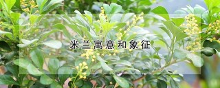 米兰寓意和象征,第1图