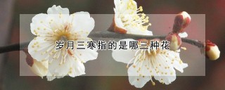 岁月三寒指的是哪三种花,第1图