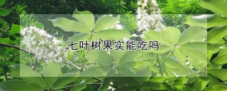 七叶树果实能吃吗,第1图