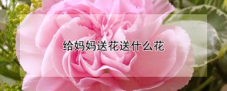 给妈妈送花送什么花,第1图