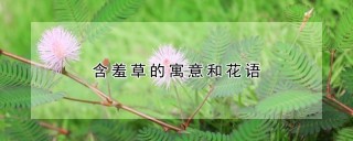 含羞草的寓意和花语,第1图