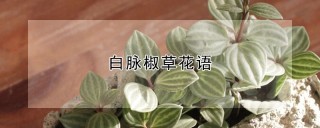 白脉椒草花语,第1图