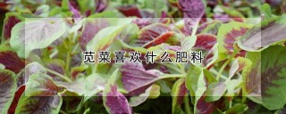 苋菜喜欢什么肥料,第1图