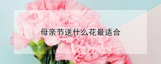 母亲节送什么花最适合,第1图