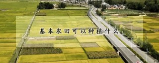 基本农田可以种植什么,第1图