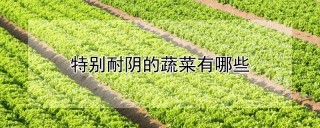 特别耐阴的蔬菜有哪些,第1图