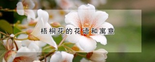 梧桐花的花语和寓意,第1图