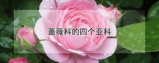 蔷薇科的四个亚科,第1图