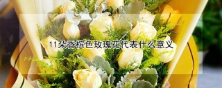 11朵香槟色玫瑰花代表什么意义,第1图