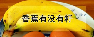 香蕉有没有籽,第1图