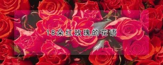 18朵红玫瑰的花语,第1图