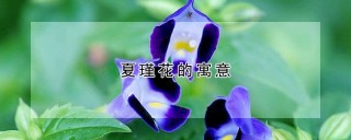 夏瑾花的寓意,第1图