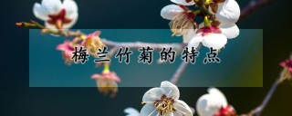 梅兰竹菊的特点,第1图