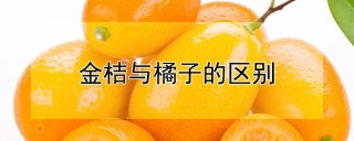 金桔与橘子的区别,第1图