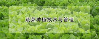 蔬菜种植技术与管理,第1图