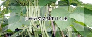 四季豆结荚期施什么肥,第1图