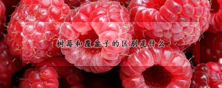 树莓和覆盆子的区别是什么,第1图