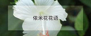 依米花花语,第1图