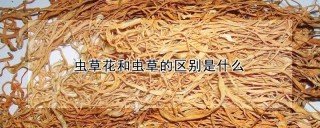 虫草花和虫草的区别是什么,第1图