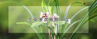 兰花多久施肥一次,第1图