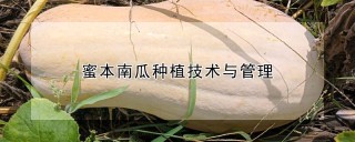 蜜本南瓜种植技术与管理,第1图