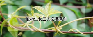 植物生长三大必要条件,第1图