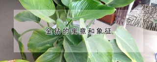 金钻的寓意和象征,第1图